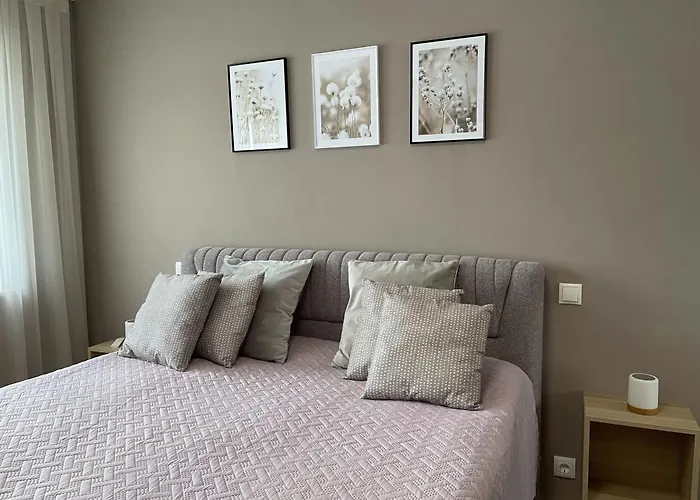 Auszeit Fuer Geniesser Am Mittelrhein,